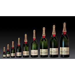 Champagne Moet Chandon Brut piccolo 24x20cl a 12euro