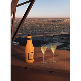 Veuve Clicquot Ponsardin Brut 75cl met Icejacket