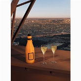 Veuve Clicquot Ponsardin Brut 75cl met Icejacket